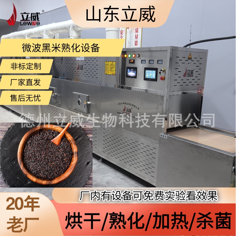微波黑米熟化设备 立威五谷杂粮烘干灭虫卵机器 隧道式干燥机