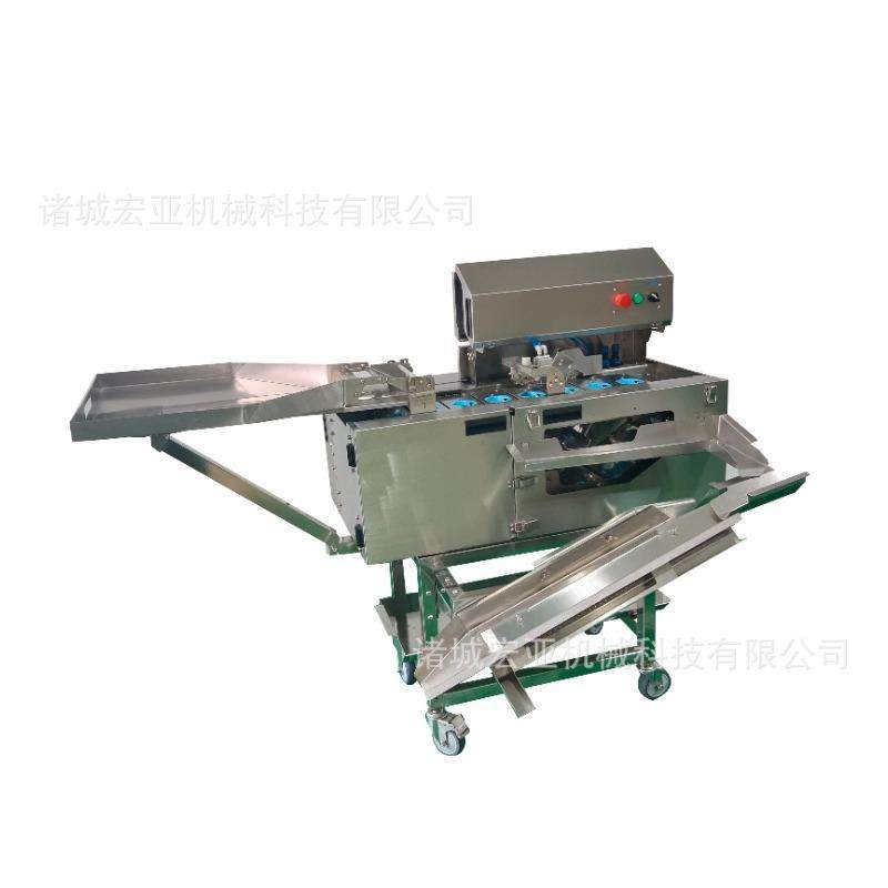 商用蛋清蛋黄分离机蛋糕房烘焙用打蛋机自动单排磕蛋敲蛋机,清洗/食品/商业设备,其他食品加工设备,淘宝优惠券,粉丝福利购,淘宝优惠卷