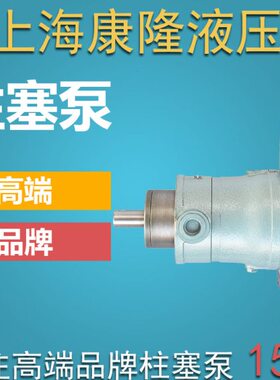 14B/云Y//1625010C销40/253/0/轩Y轴向柱塞泵/032/08-上海161106/