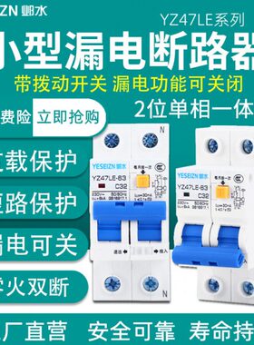 拨动开关小型带2PAD断路器家用带漏电L闸短63A保护Z空开路324电E7