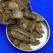 瓶绿碎料 养熏香珠香棋克凉元 850韵油一18 高奇楠车浓郁 料 珠