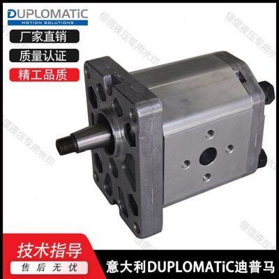 意大利DUPLOMATIC迪普马GP1-0013/0020/0027/0034/L97F/20N齿轮泵