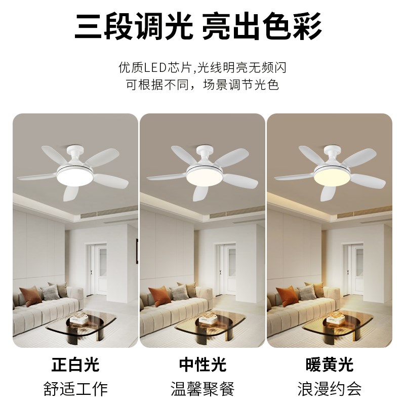 螺口风扇灯吊扇灯m大风力餐厅节能吸顶三档调光客厅卧室简约