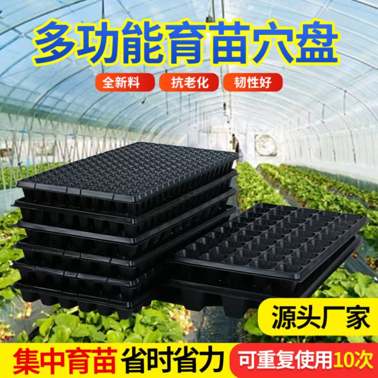 育苗穴盘育苗盆育苗盒塑料育苗器蔬菜多肉苗木花卉基质盘整箱批发