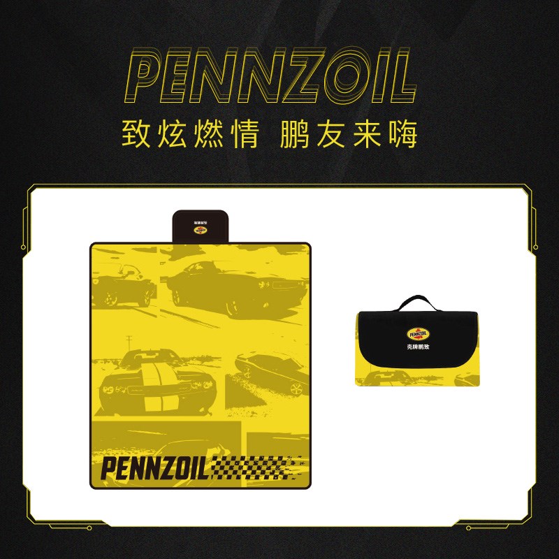 鹏致定制户外郊游野餐垫 隔沙防潮 经久耐用 防水可折叠便于携带