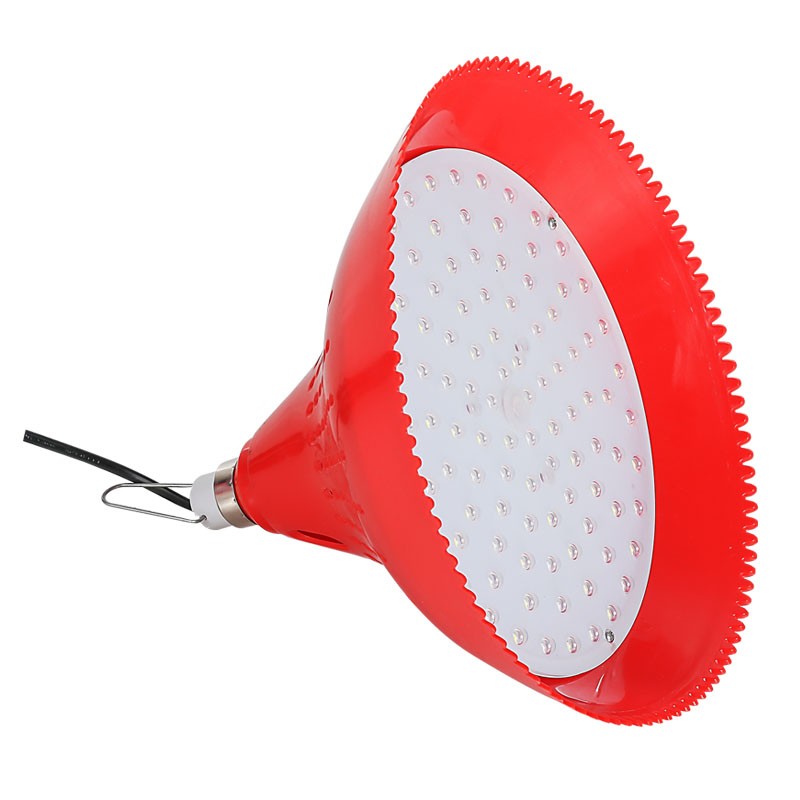 12V电瓶用猪肉熟食水果卤肉卤菜灯48v60V72伏电动三轮车低压led灯