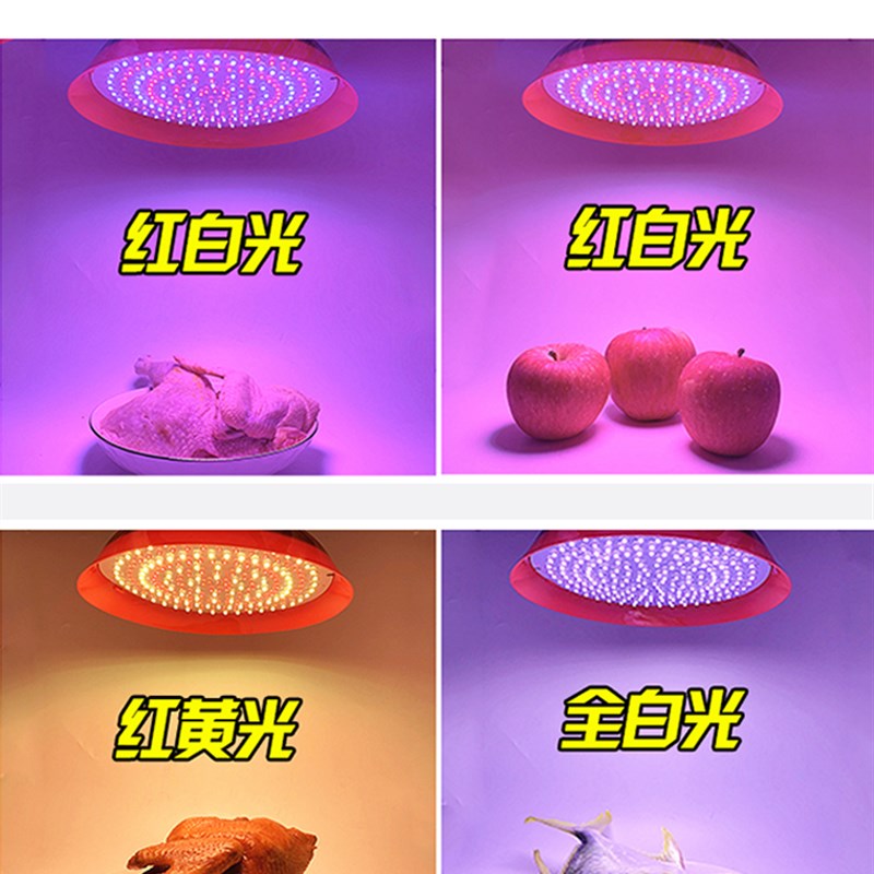 12V-60v电瓶灯电动三轮车夜市摆地摊灯照明灯生鲜熟食水果灯调光