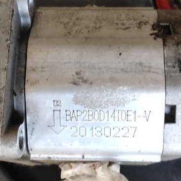 代替Boden齿轮油泵 油泵 BAP2B0D14T0E1-V 品质保证