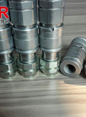 供应意大利DNP PLT4.1310.112/113液压快速接头 插拔式公母头