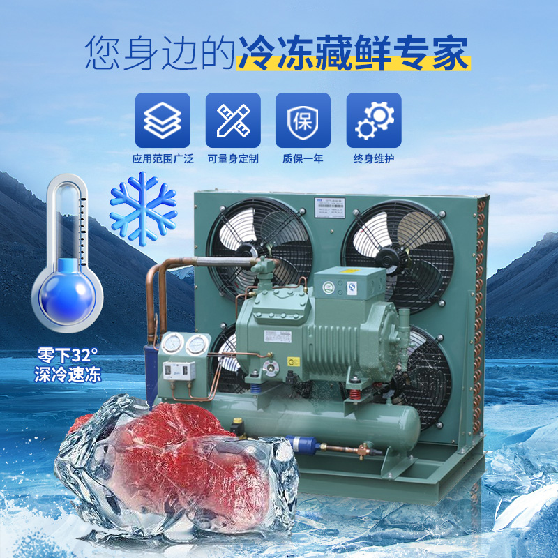 比泽尔冷库制冷机组一体机制冷压缩机谷轮型冷冻保鲜库用全套设备