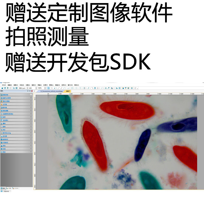 图谱显微镜摄像头电子目镜高清数码相机TOUPCAM偏光荧光金相生物