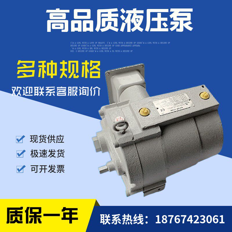 转子泵RP23A1-37-30油泵RP23A2-37-30RP23A3-X37-30泵