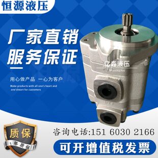 10液压油5SH1 H1齿轮泵 52520派克G 20L液压1 泵L5SG20