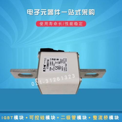 170M5732 5733 5734 5735 5738 5739 5740 5741快速熔断器保险丝