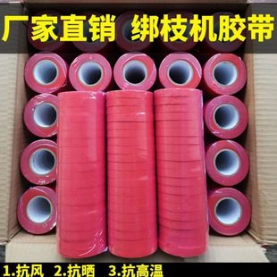 番茄绑枝机胶带 绑枝器胶带节束机葡萄绑蔓藤器带子绑枝专用胶带