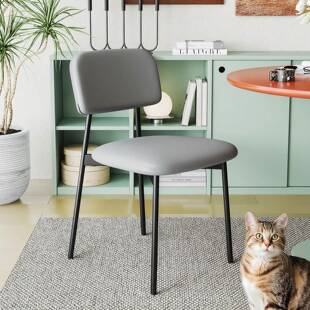 适用意式极简餐椅家用舒适餐桌靠背椅子不占地方的铁艺休闲椅餐厅