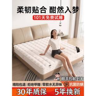 家用独立袋装 200护脊黄麻椰棕硬垫乳胶席梦思软垫子 弹簧床垫180