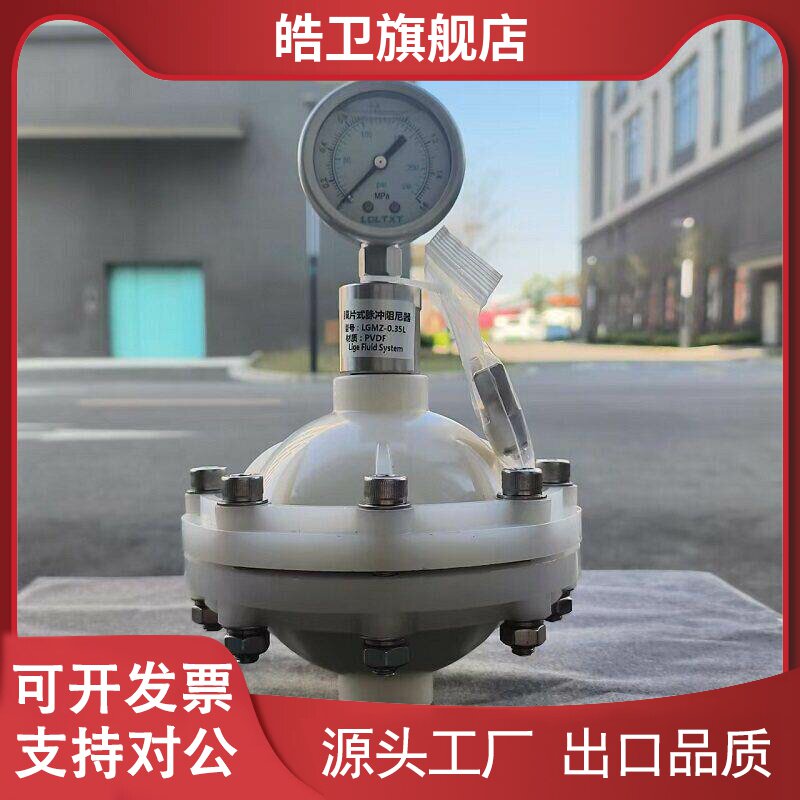 适用PVDF/不锈钢膜片式脉冲阻尼器DN15/2025缓冲器缓冲罐气囊带压