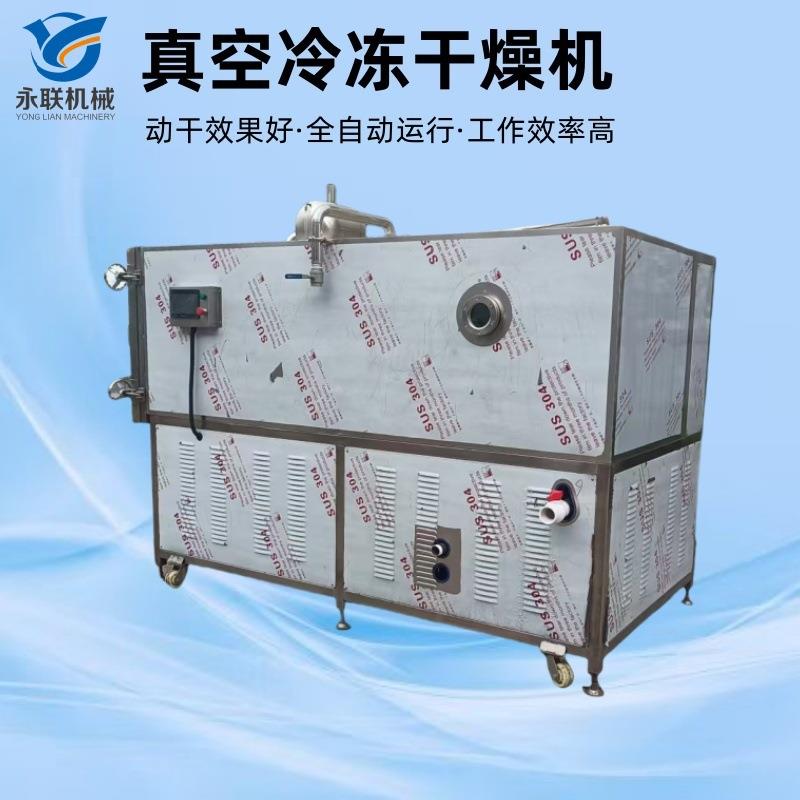全自动小型榴莲干冻干香蕉干冻干设备5平方冻干机生产厂家