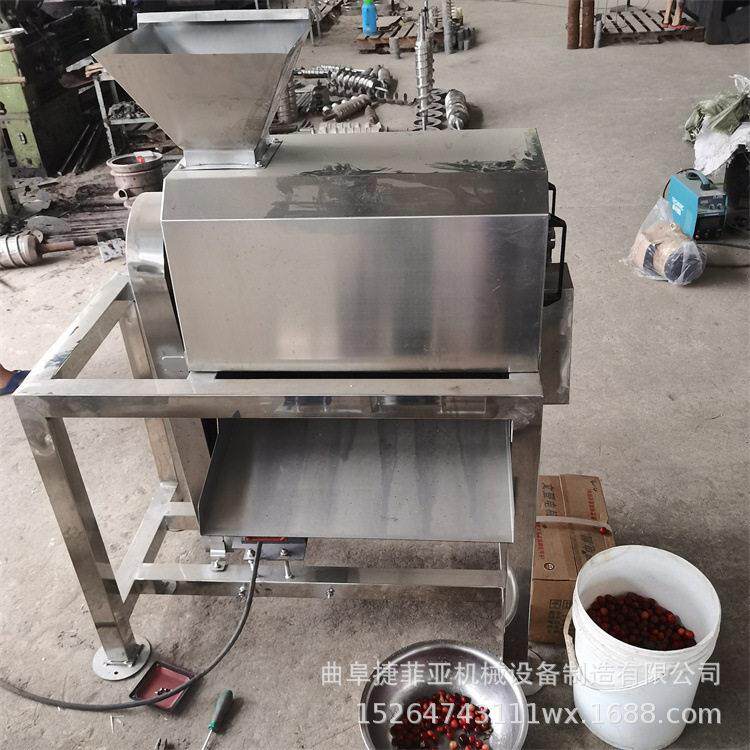 工业去核打浆机沙棘枸杞番茄打浆机食品糕点用红豆红枣打泥机