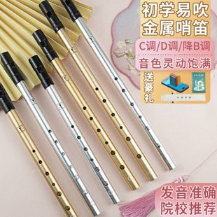 Akusticus爱尔兰哨笛C调d调笛子高音直笛竖笛儿童初学者六孔降B调
