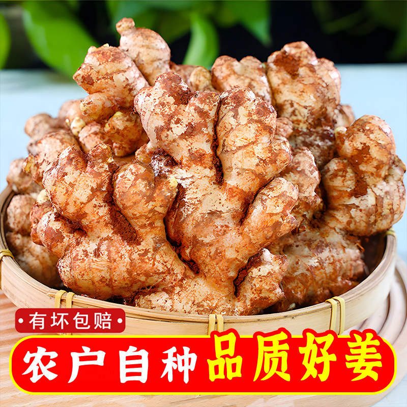 正宗云南小黄姜月子姜蔬菜罗平