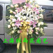 开业花篮上海花篮演唱会商务乔迁花篮 市区鲜花速递开张庆典 包邮