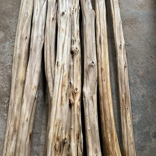 枯枝木头树木头木老木头树枝料木头老烂风化云南枯老木杈朽木老