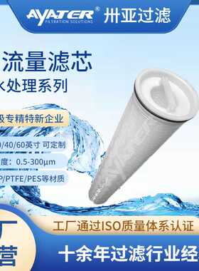 卅亚过滤40英寸大流量水滤芯电厂化工循环水使用保安过滤器水滤芯