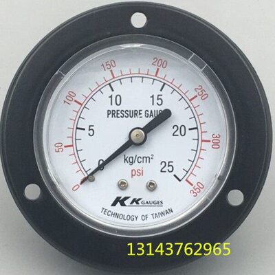 轴向带边压力表Y-60ZT  25 Kg 350PSi 面板式气压表