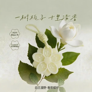下姜栀子香薰蜡片衣橱衣柜持久留香高级感香氛挂件-YP
