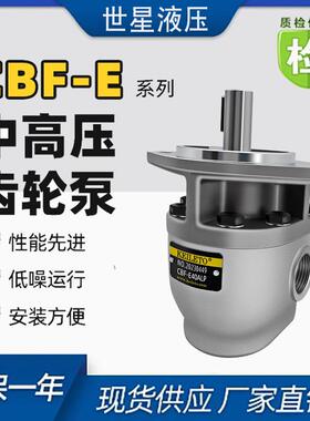 液压齿轮泵叉车油泵CBF-E10ALPE16PE18PE25PE32PE40ALPX高压