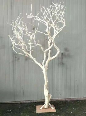 白色干树枝造景干枝树干许愿树枯树室内造型树枝干V原木树枝装饰