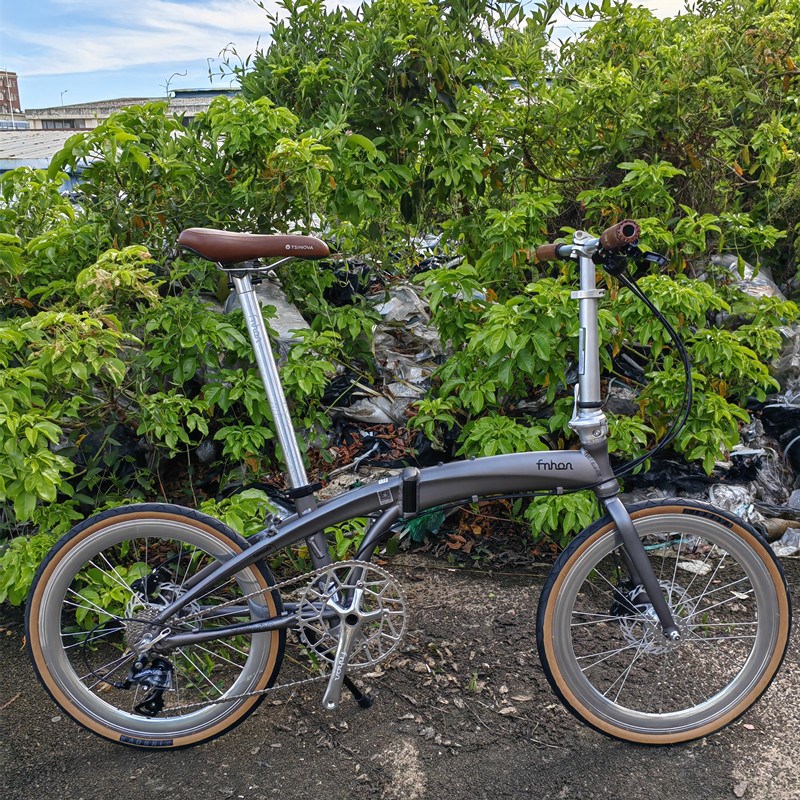 fnhon风行折叠车qDg2018新款颜色海豚车架消光星河灰