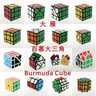 大雁百慕大 Neptunian八大行星 金木水火土天地海三角魔方Bermuda