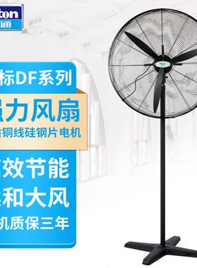 德通绿标工业强力风扇大风力落地电风扇工厂大功率牛角扇DF650-4