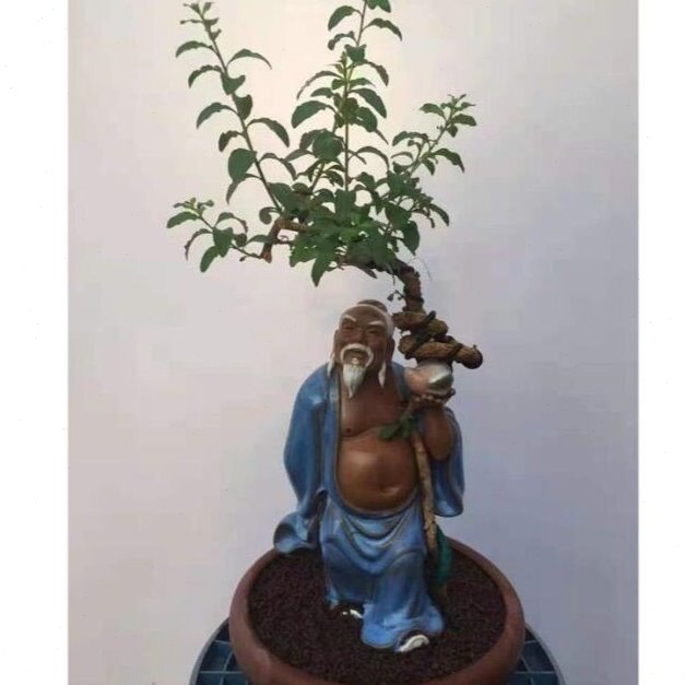 陶瓷石湾公仔东方朔人物家居装饰摆件假山盆景陶瓷老人祝贺寿摆件