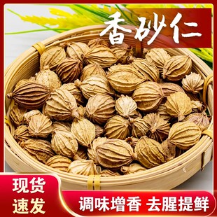 川砂仁香砂仁香料去腥解腻用于卤肉炒菜煲汤火锅的厨房调味料-C