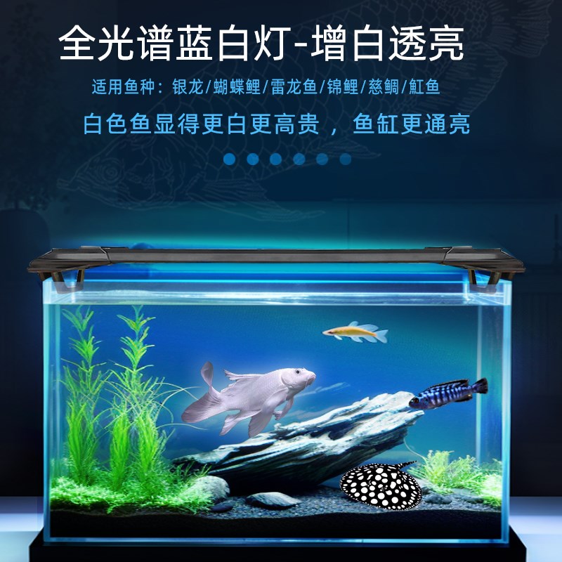 全光谱蓝白混合光银龙雷龙三湖慈鲷蝴蝶鲤观赏水陆两用鱼缸灯