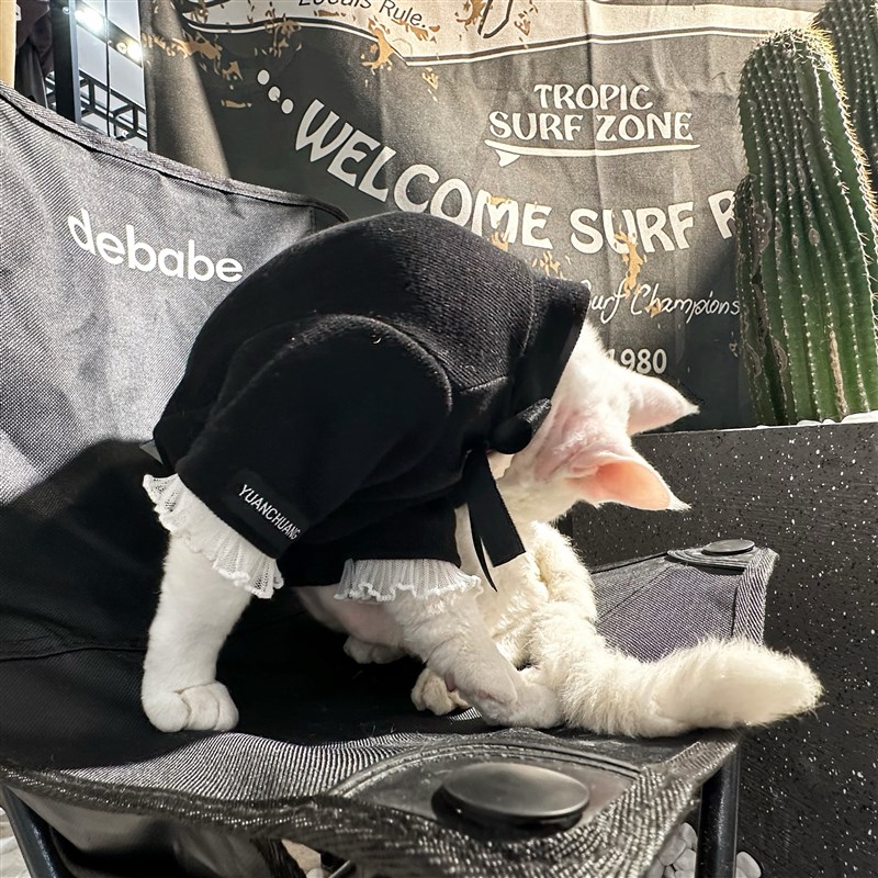 YH 法式小香香女孩~斯芬克斯无毛猫衣服德文冬天保暖加厚 永禾