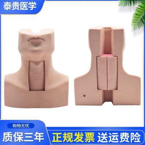 泰贵医学TG/J58高级环甲膜穿刺及气道切开插管训练模型