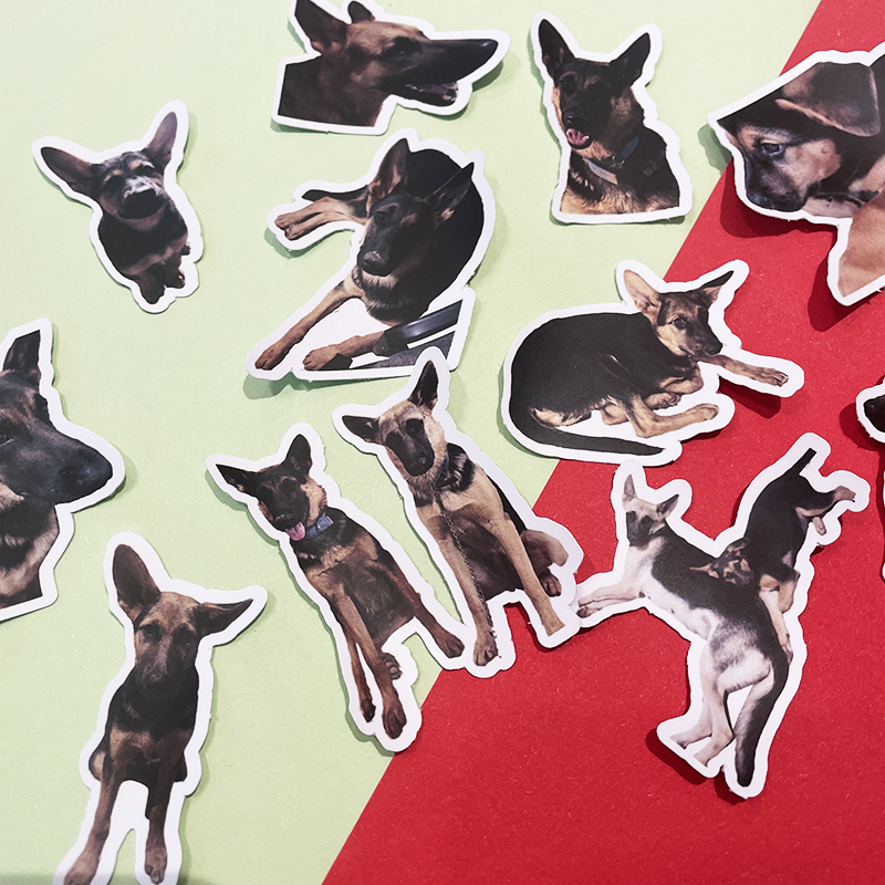 宠物照片防水贴纸定制狗狗贴画周边大头贴手账猫咪贴纸异形不干胶