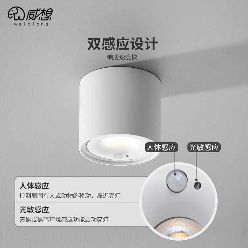 人体感应明装射灯入户门厅过道走廊灯光控一体楼道车库灯感应筒灯