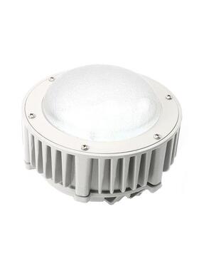 防爆灯led隧道灯仓库工厂化工24V36V50W100W隔爆加油站船用投光