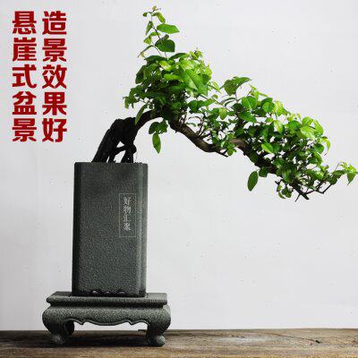 方形青石盆高级感兰花盆专用高花盆高筒复古老桩菖蒲石盆客厅家用
