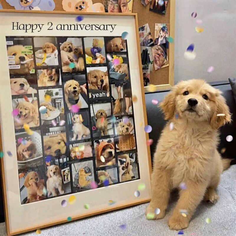 胶片相框情侣宫格相框diy定制挂墙送闺蜜女朋友家人结婚生日礼物