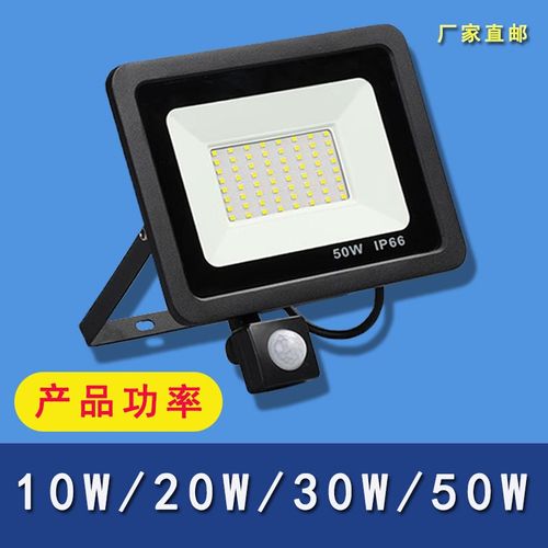 110V戶外投光燈便攜農村院子照明燈蘋果款庭院強光自動亮紅外感應