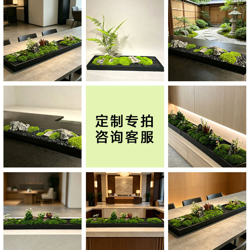 长桌摆件微景观造景会议桌中间装饰绿植玄关苔藓装饰摆花