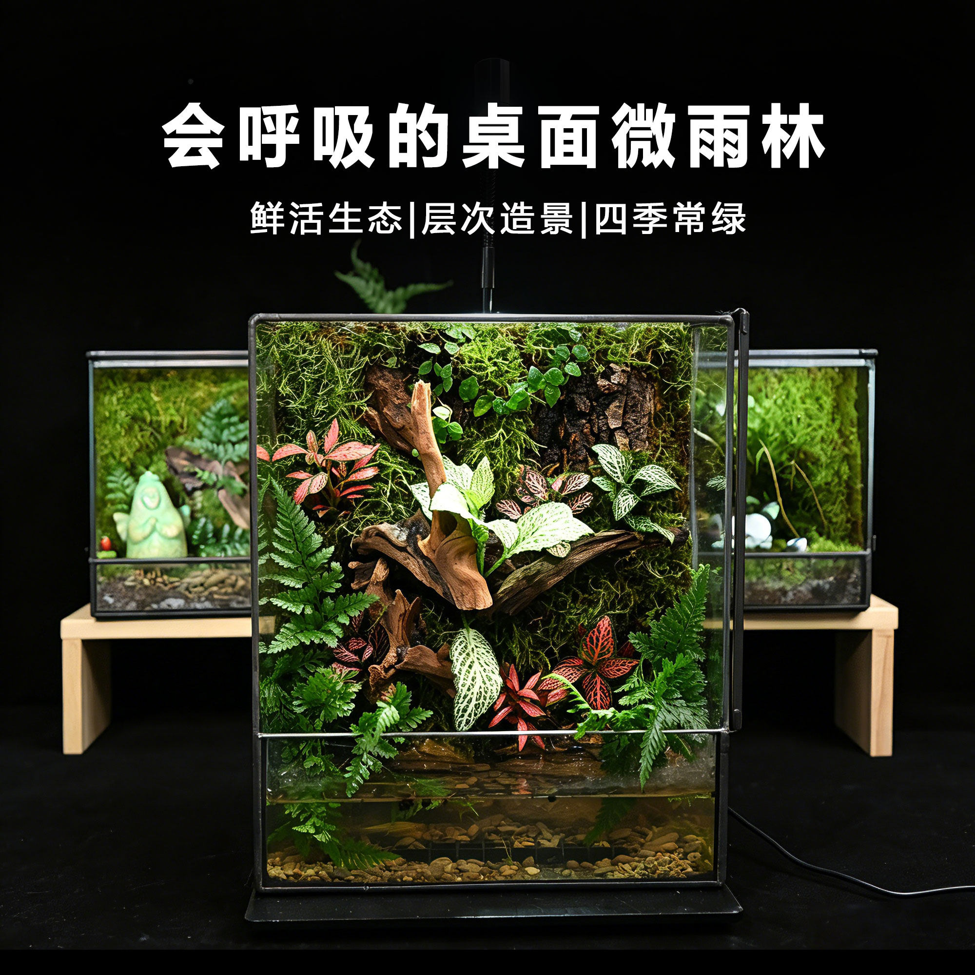 苔藓微景观辣椒蟹乌龟角蛙鱼桌面生态缸雨林缸造景森系风微雨林
