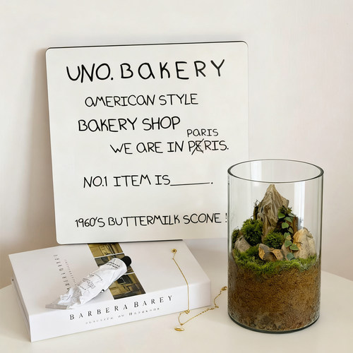 创意苔藓微景观生态瓶